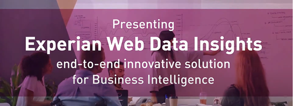 Web data insights